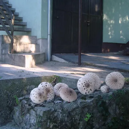 Chaletu Bruno Vrbovsko