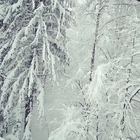 Dağ evi Bruno Vrbovsko